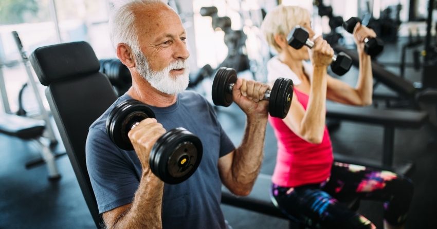 No Sugar, No Problem: Skeletal Muscle Cells Thrive in Low-Sugar Environments to Prevent Age-Related Muscle Loss