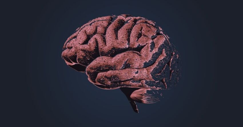 Scientists Discover Anti-Inflammatory Molecule That Decline in Aging Brain