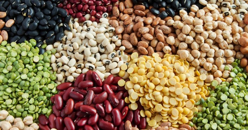 beans, lentils and legumes