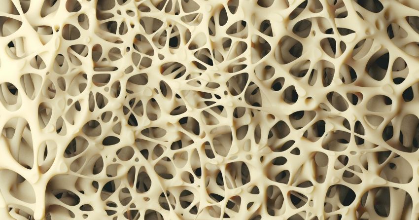  New Study Finds NMN Benefits bone health