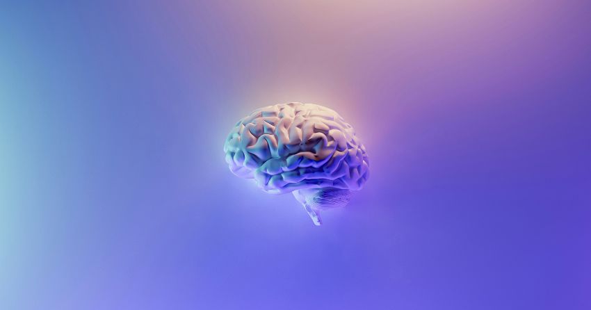The “Invisible Fat” That Ages Your Brain Faster