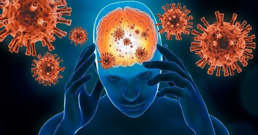 Killer T-Cell Build-Up in the Brain Leads to Cognitive Decline in Older Age