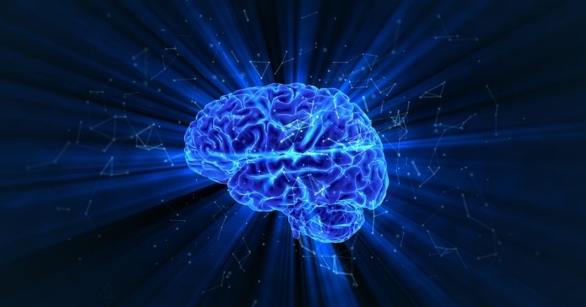 NMN Helps Keep the Brain’s Blood Supply Healthy, Even in Old Age