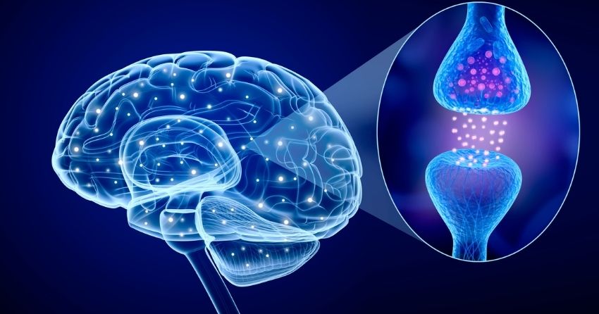 Increasing Activity of LDL Receptors in Brain Lowers Risk of Dementia