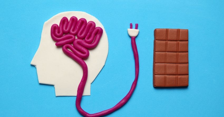 new study pinpoints brain cells that are linked to increased sugar cravings