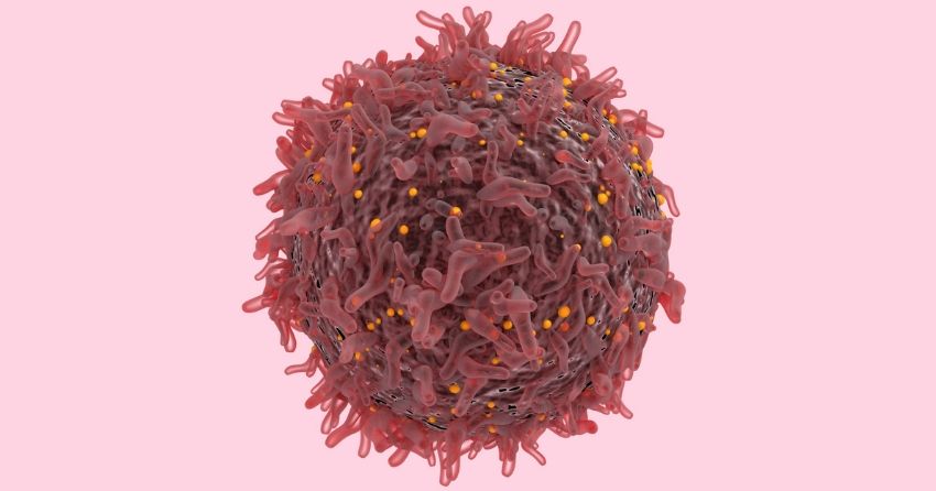 cancer cell