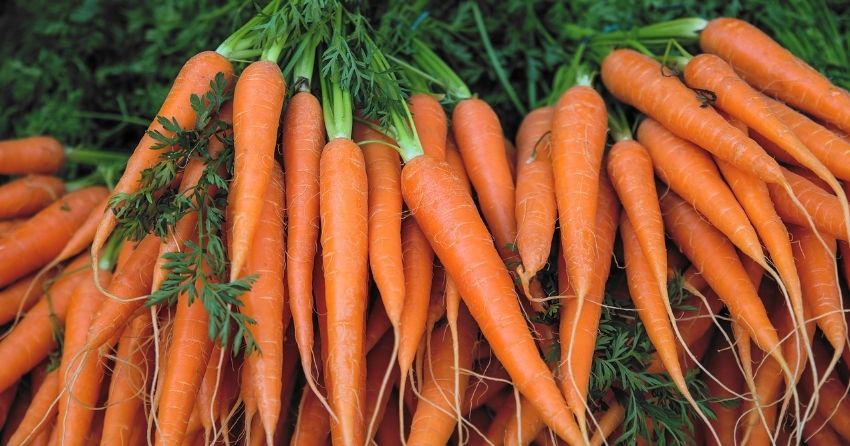 High Cholesterol Linked to Inability to Convert Beta-Carotene into Vitamin A
