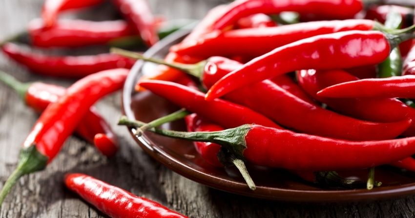 people who regularly consume chili peppers may live longer 