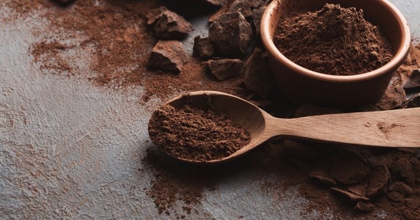 Large Trial Shows Cocoa Flavanols Reduce Cardiovascular-Related Death By 27%