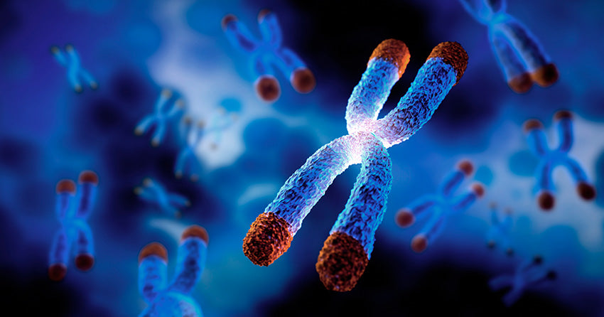 Cycloastragenol: A Novel Micronutrient To Support Telomerase Activity And Healthy Aging