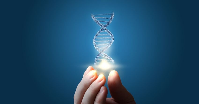 How Much Do Genetics Matter for Longevity?