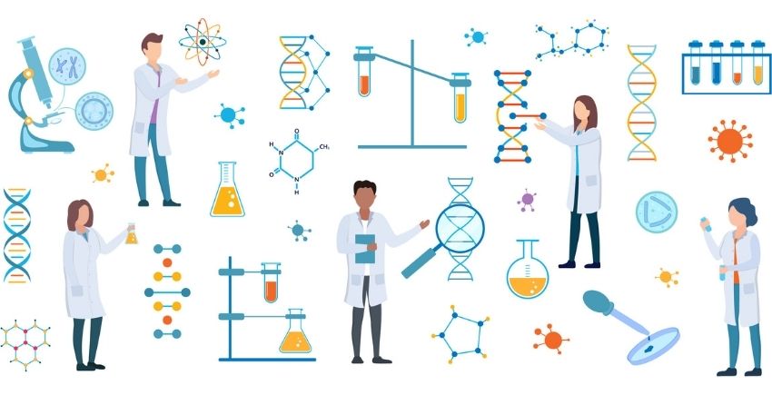 Fixing Errors in Protein Production Extends Lifespan in Cell-Based Study
