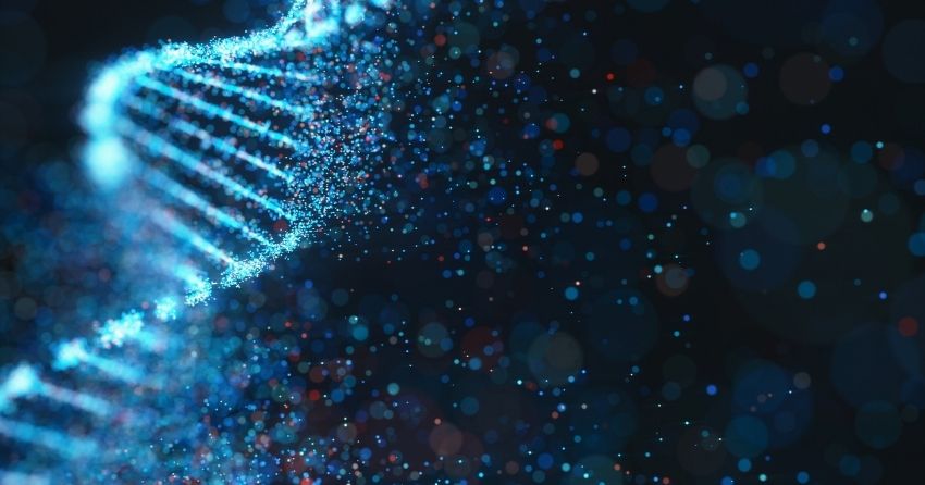 Chronic Inflammation and CD38 Activation Drive NAD+ Decline