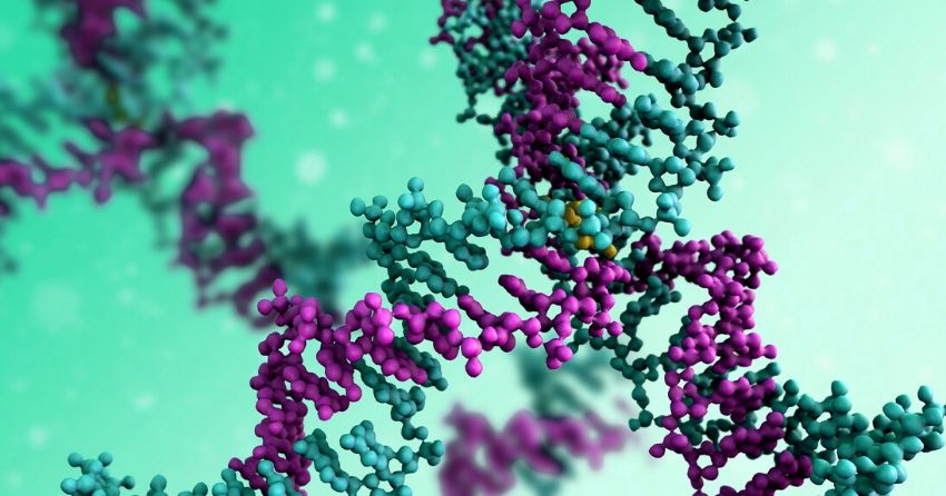 molecular switch can be turned off by sirtuin protein to reduce inflammation and disease