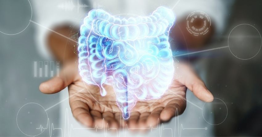 The Gut-Longevity Connection: Nourishing Your Microbiome for a Longer Life