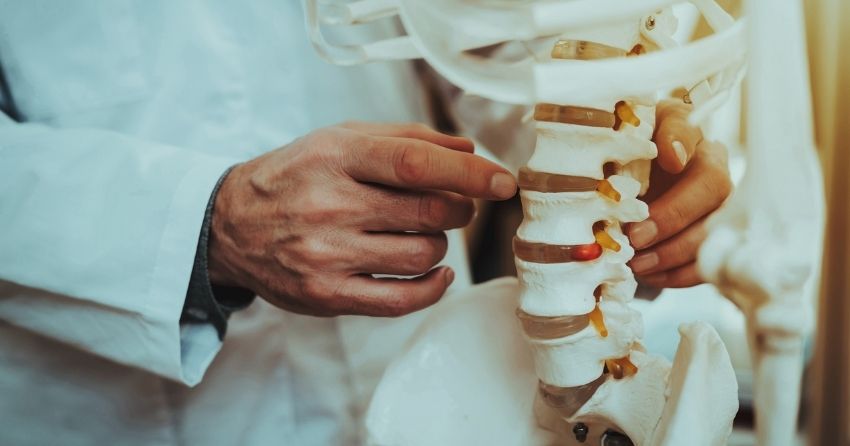 Boosting NAD+ Battles Bone Breakdown and Fosters Formation of New Bone Cells