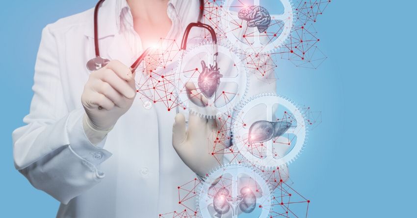New Insights Into Longevity: How Organ-Specific Metabolic Alterations Contribute to Aging