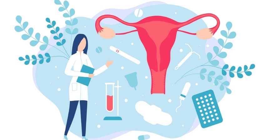 Researchers Identify Genes Linked to Longer Female Reproductive Lifespans