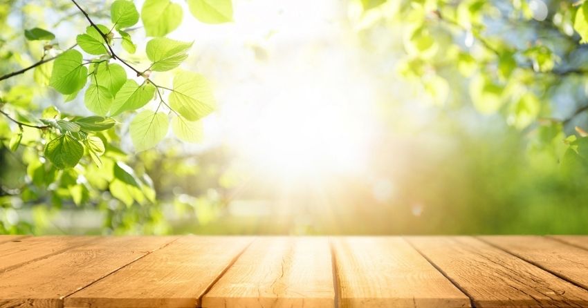 A fine particulate found in air polluted cities is linked to poor cognitive health and memory.