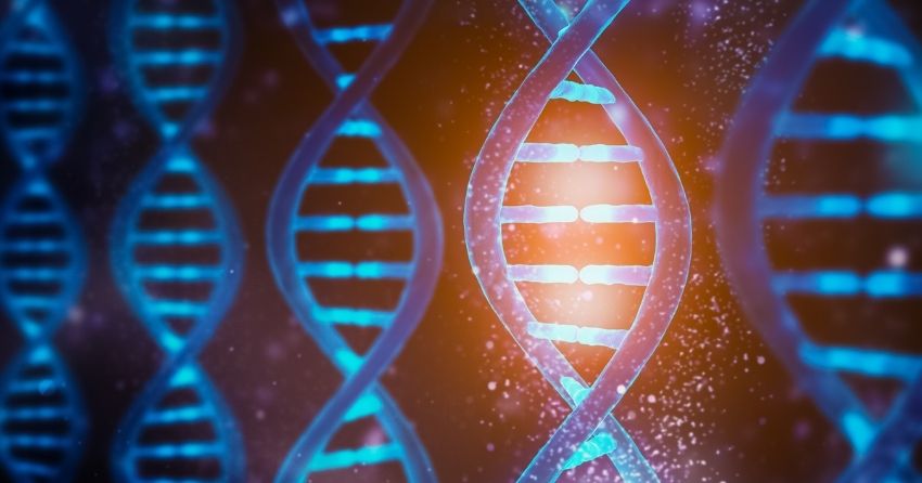 Researchers Uncover Cluster of Genes Related to Longevity 