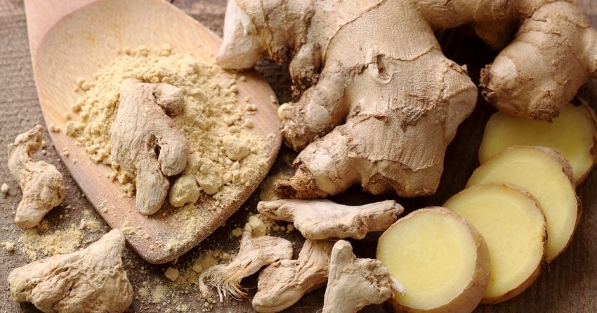 Bioactive Compound in Ginger Halts Disease Progression in Lupus