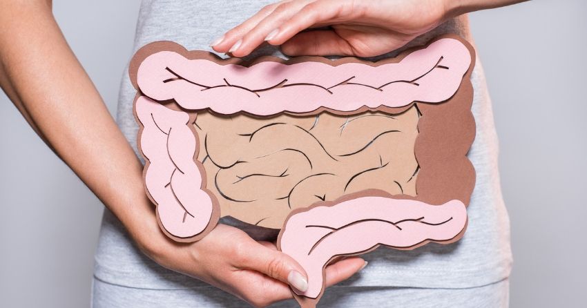 intestines