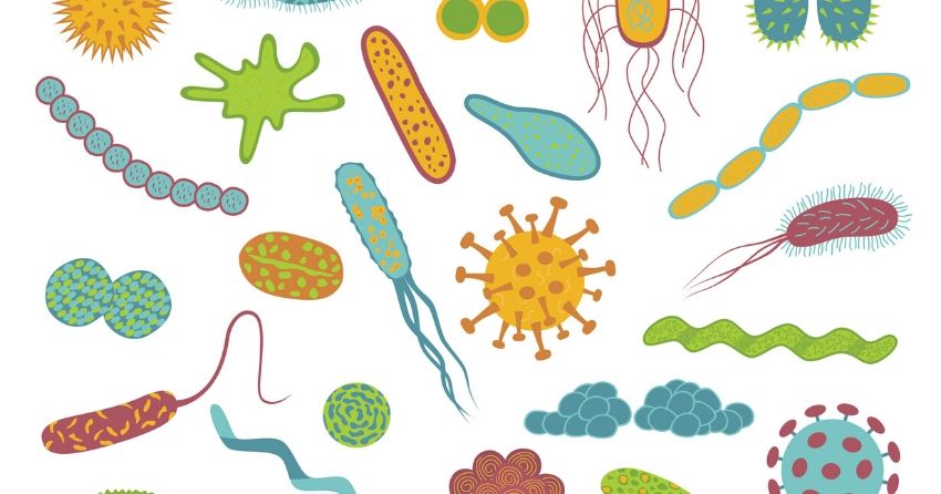 certain gut microbes are linked to changes in behavior and eating patterns, as well as lower cholesterol levels