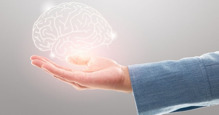 Specific Combination of Amino Acids Protects From Brain Degeneration
