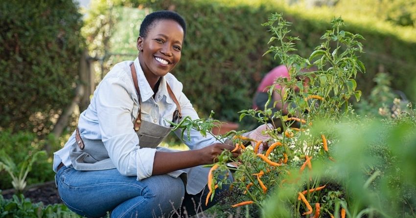 Twice-Weekly Gardening Improves Mental Health and Reduces Stress
