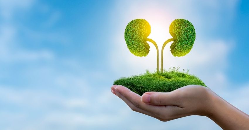 NMN Rescues Age-Linked Susceptibility to Acute Kidney Injury