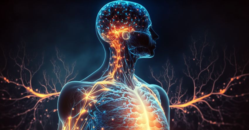 How Inflammaging Impacts Longevity and What to Eat to Lower It ...