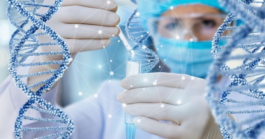 A study identifies 25-hydroxycholesterol, a metabolite of cholesterol biosynthesis, as a potent senolytic — a compound that removes senescent cells to support healthier aging. 