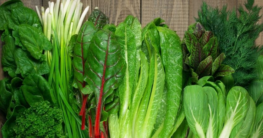 Just One Cup of Leafy Greens Per Day Lowers Risk of Heart Disease By 15%