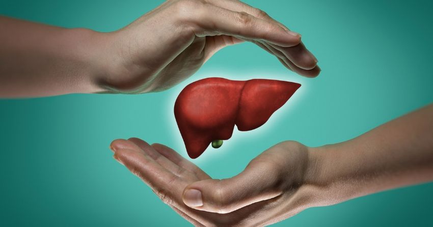 woman holding healthy liver