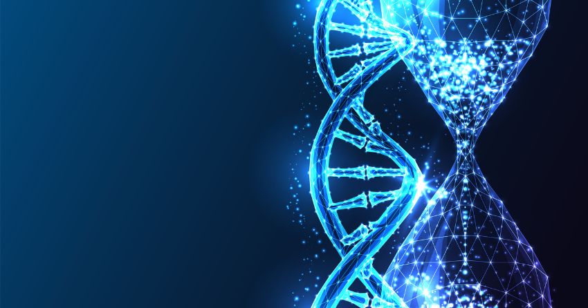 The Basics of Epigenetic Age Testing and How to Use It to Support Longevity