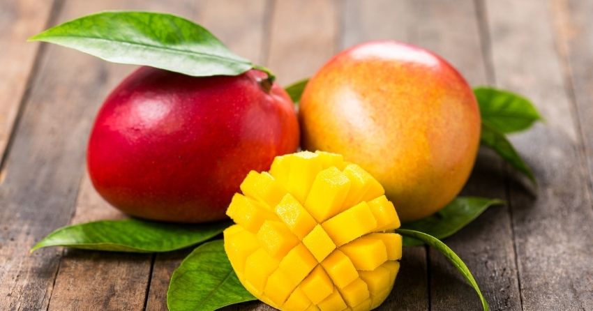 Mangiferin, derived from mango fruits and their by-products, is recognized as a safe natural product and has several beneficial effects, including the prevention of programmed cell death (apoptosis).