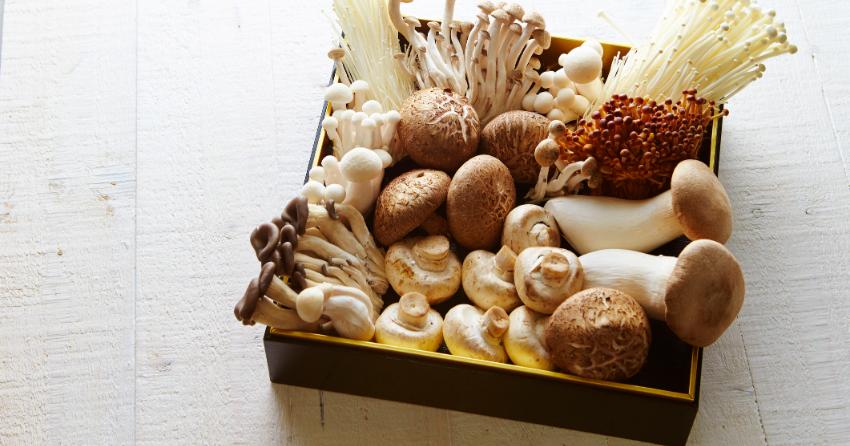 Medicinal mushrooms provide anti-inflammatory effects to benefit the immune system.