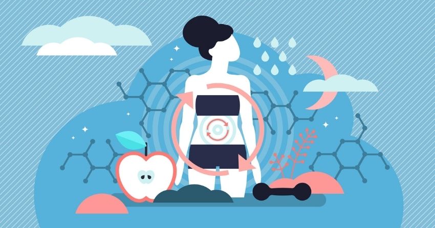 Regulation of Folate Metabolism Pathways Found to Increase Lifespan
