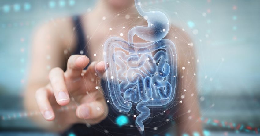 Why Your Microbiome Matters For Heart Health