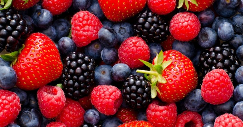 the polyphenols in berries, as well as apples and tea, show protective benefits against Alzheimer's disease