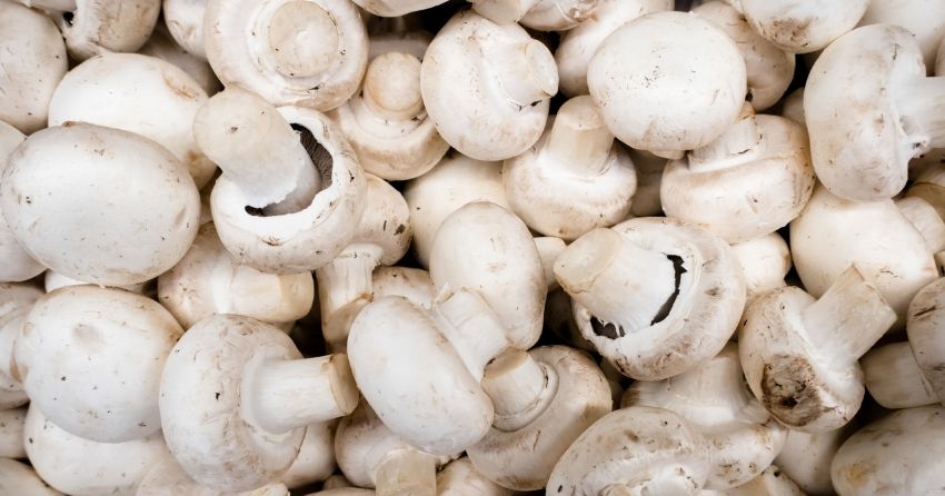 Eating Mushrooms May Help Lower Prostate Cancer Risk