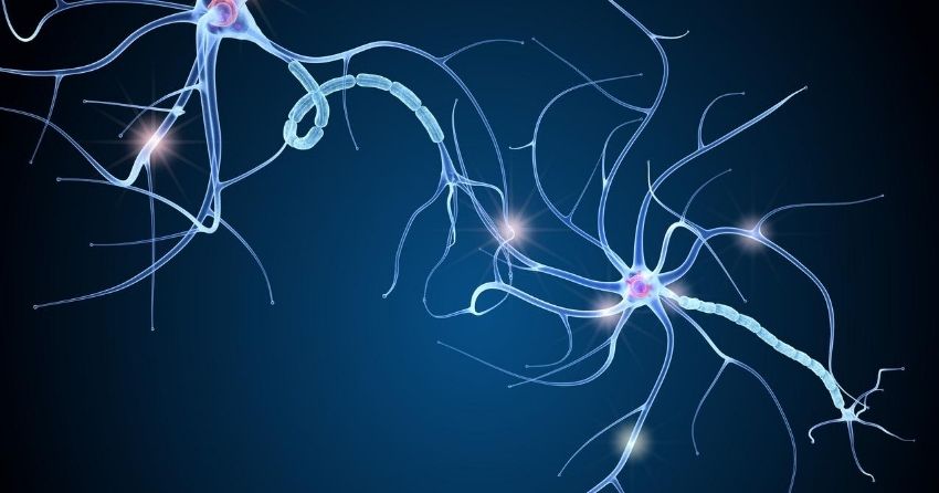 Neuron Damage in ALS Reversed With New Compound