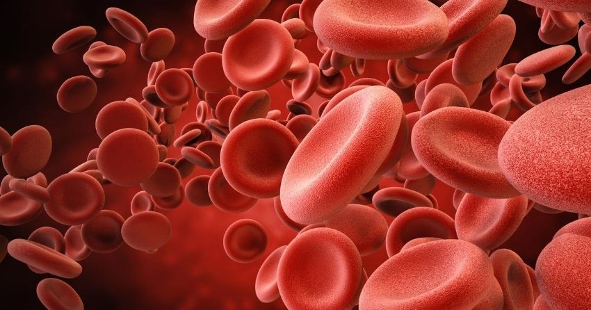 iron levels in the blood are associated with rate of aging