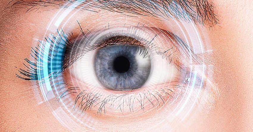 Scientists Discover New Type of Neuron in the Retina