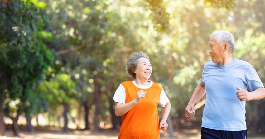 active seniors, seniors exercising in park