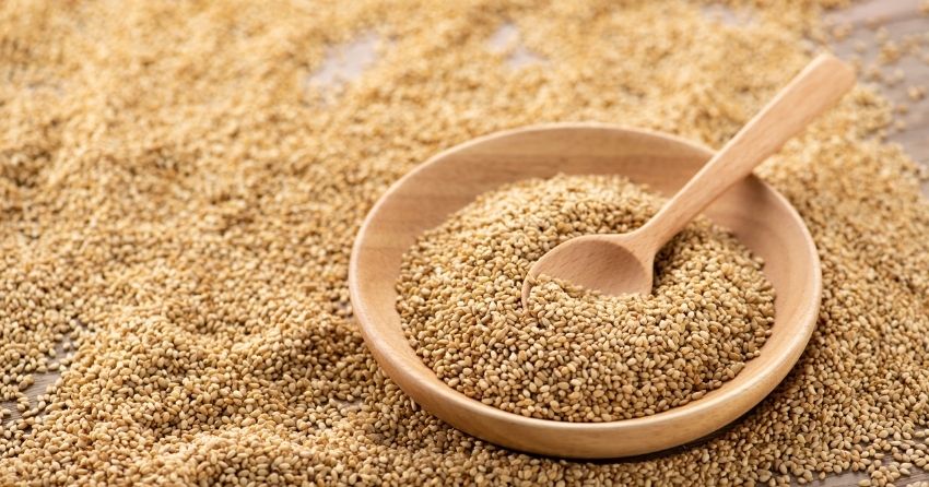 a compound found in sesame seed shells may prevent Parkinsons disease
