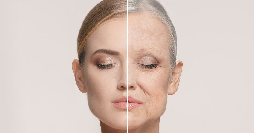 The Decline of Autophagy in Skin Aging