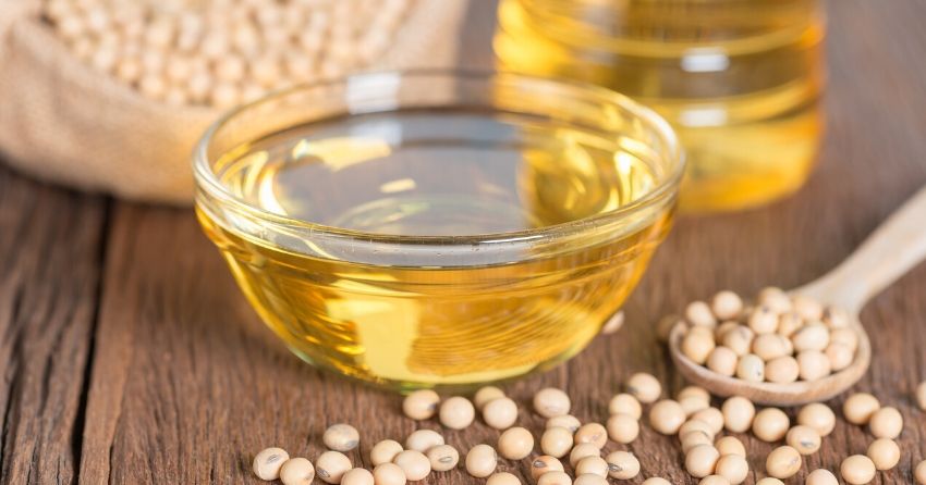 soybean oil causes negative changes to brain
