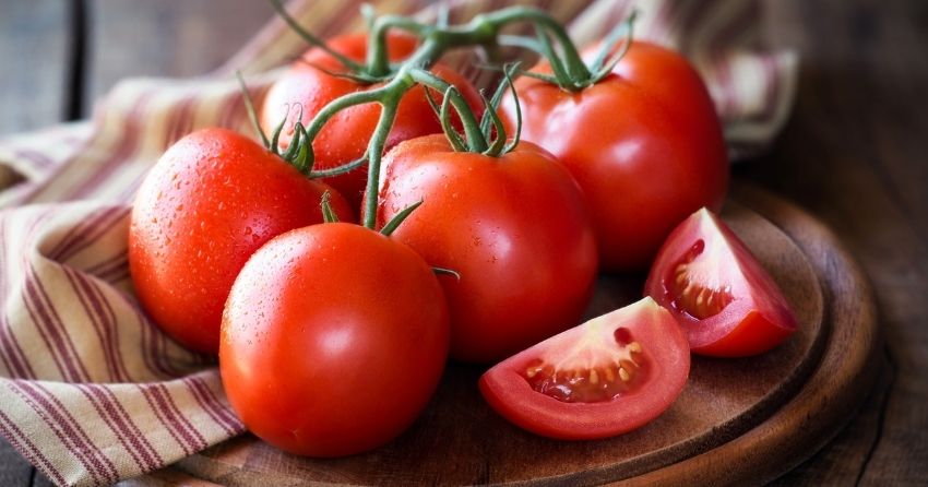 genetically modified tomatoes may be a new way to provide L-dopa medication for Parkinson's disease