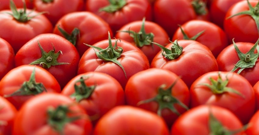 Gene-Edited Tomatoes Could Be New Dietary Source of Vitamin D